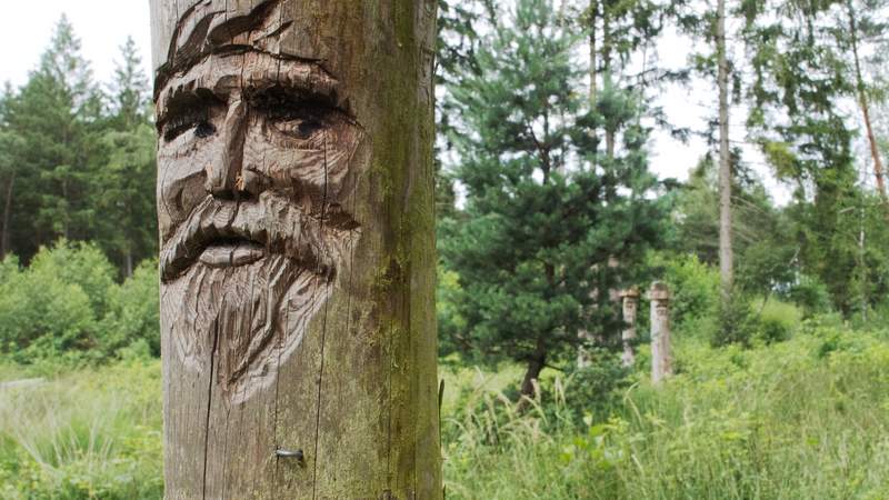 geschnitzter Baum in der Sterntaler Filze Segway Erlebnis Tour zu den Elfen