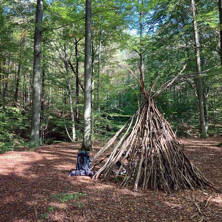 WaldBaden in der Dresdner Heide - Geocaching+