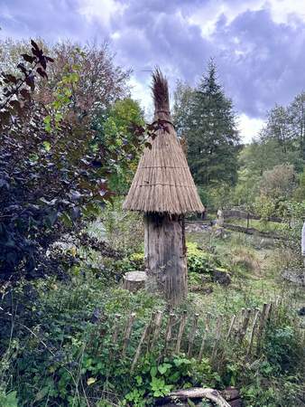 Wanderung zu wild lebenden Honigbienen