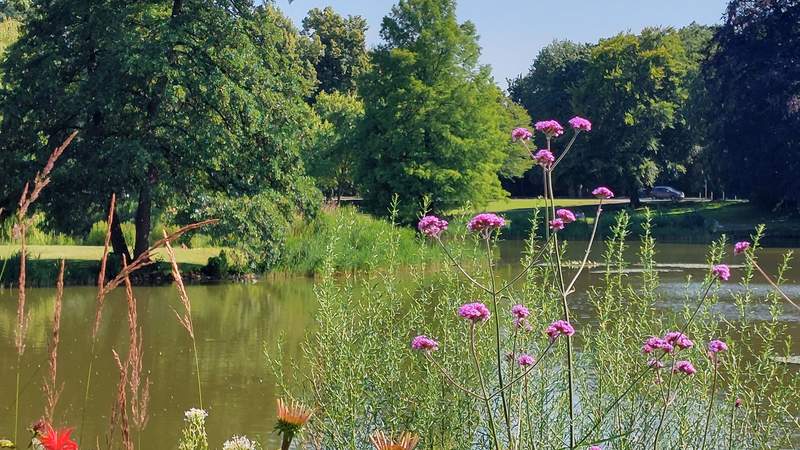 Teamtag oder Sommerfest im Maschpark Hannover