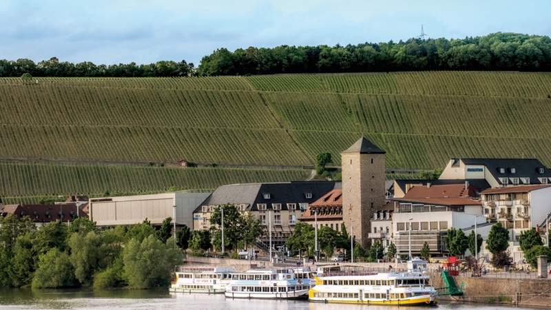 Genießer-Ausflug mit Weinprobe in Würzburg