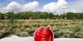 Weihnachtsfeier im Oldenburger Land Oldenburger Land Weihnachtsfeier