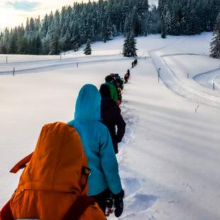 Schneeschuhwandern wandern