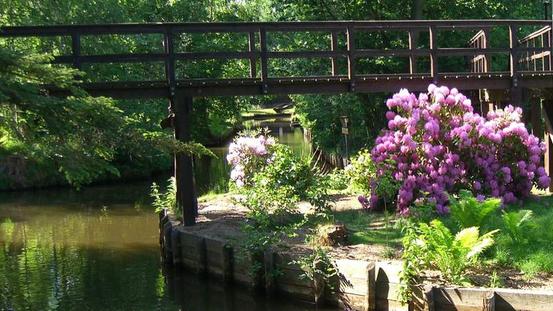 Paddeln im Spreewald