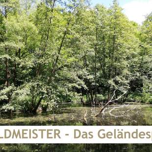 WALDMEISTER – Das Geländespiel