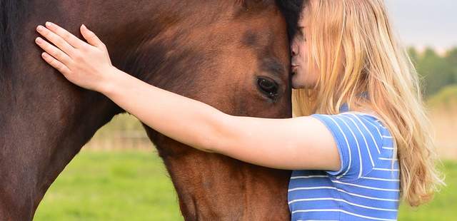 Pferdegestützte Workshops