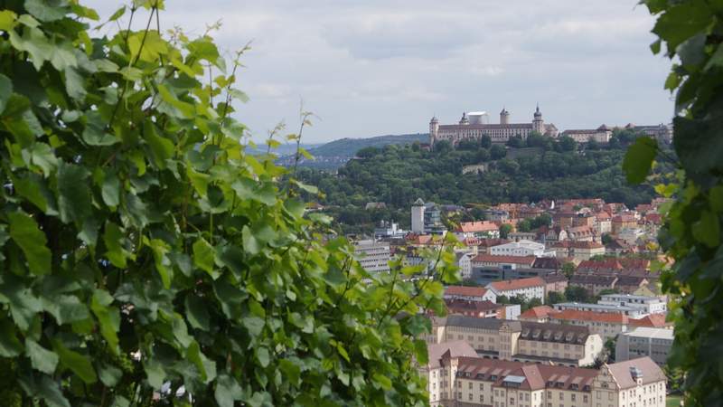 Würzburg, Festung Marienberg, Weinbergwanderung Weinbergwanderung: Weinwanderung Würzburg
