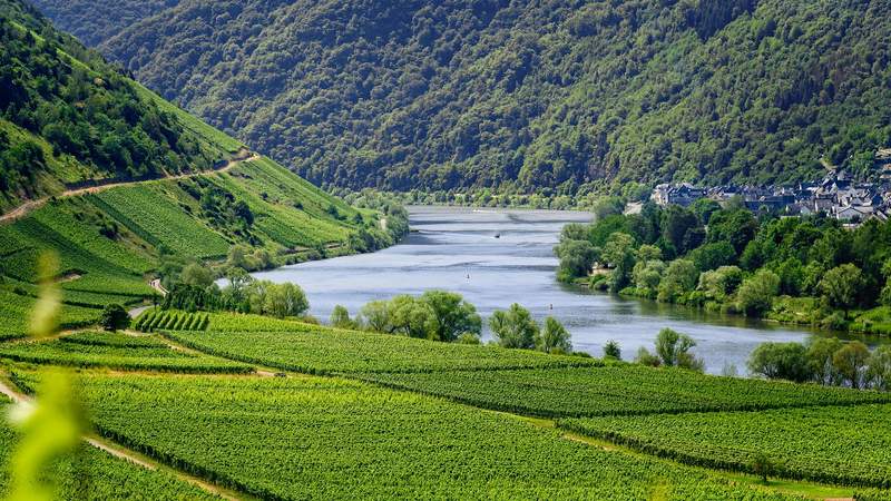 Incentive: Weinreise Mosel & Rhein