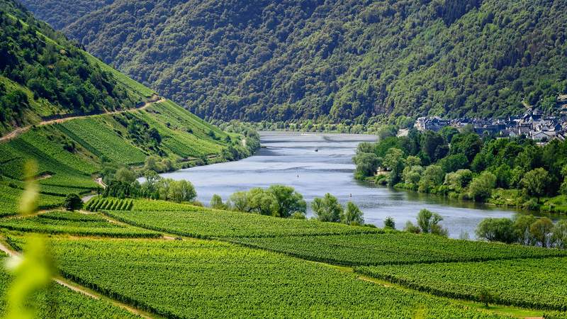 Incentive Weinreise Incentive: Weinreise Mosel & Rhein