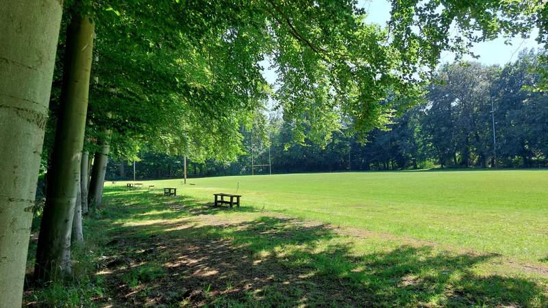 Rugbygrün Teamtag oder Sommerfest im Stadtwald