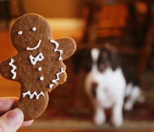 Gingerbread