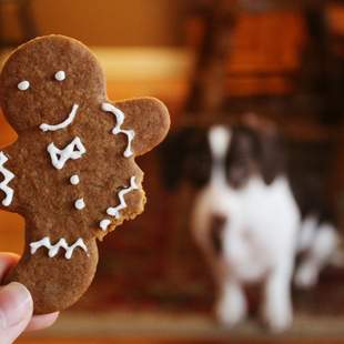 Gingerbread