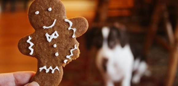 Gingerbread