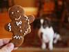 Gingerbread