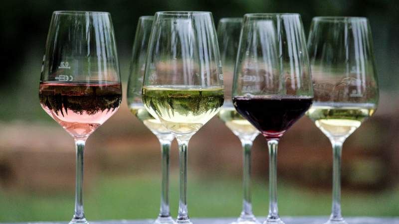 Rafttour Oberrhein - Wasser und Wein