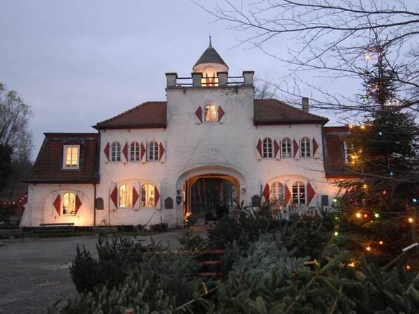 Weihnachtsfeier Weihnachtsbaum schlagen Teamevent