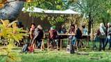 gemeinsam arbeiten