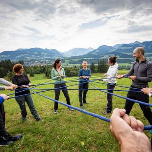 Netzwerken, Teamwork