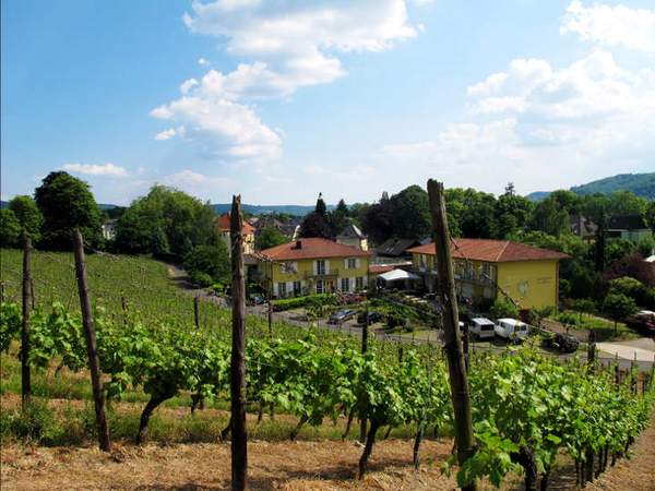 Feiern Sie auf einem Weingut bei Bonn Ihr Firmen-Sommerfest