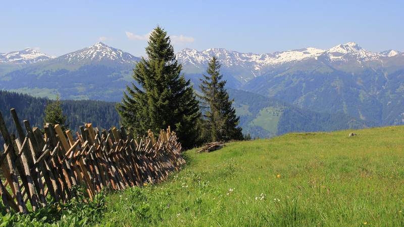 Incentive in die Steiermark