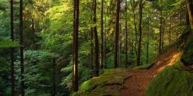 Thüringer Wald Betriebsausflug