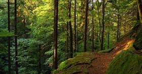 Betriebsausflug im Thüringer Wald