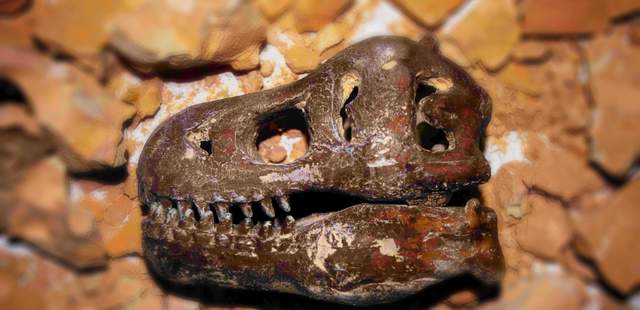 Ausgrabung a la Indiana Jones