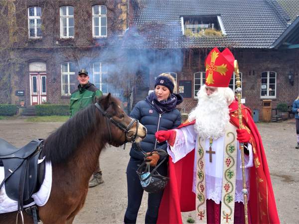 Weihnachtsfeier Weihnachtsbaum schlagen Teamevent