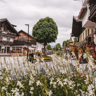 Sommer Erlebnis in Seefeld