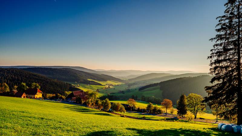 Ausblick Hof SCHWARZWALD-Seminarpauschale mit Übernachtung