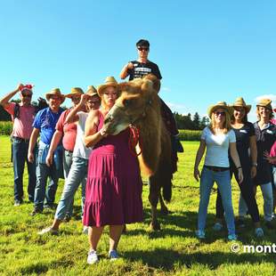 Alpen Games – Action & Fun Bauernhofolympiade