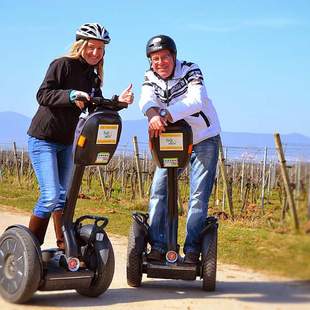 Wein & Reben Tour - mit dem Segway