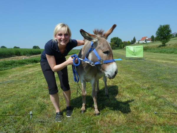 Bauernhofolympiade Teamevent