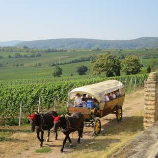 Planwagen pfalz