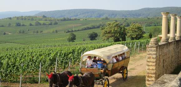 Planwagen pfalz