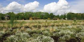 Teamevents & Teambuilding im Oldenburger Land Oldenburger Land Teamevents