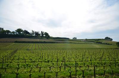 Incentive Reise Gruppenreise Frankreich Bordeaux Saint Emillion Weingut