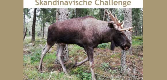 Skandinavische Challenge
