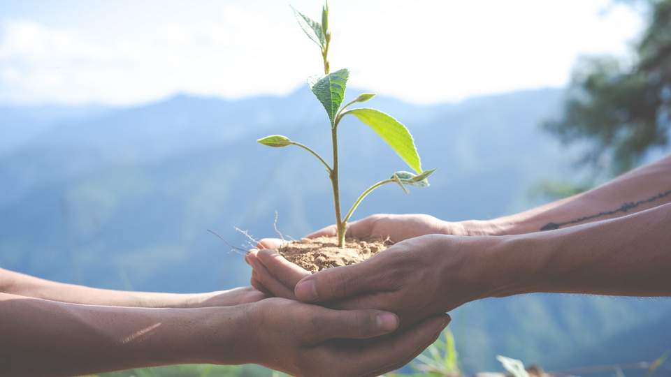 Nachhaltigkeit & Team Building