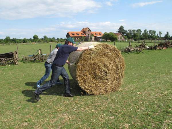 Teambuilding Team Event Bauernhof Land