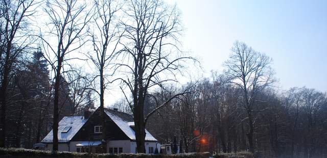 Gasthaus im Wald Hüttenabend
