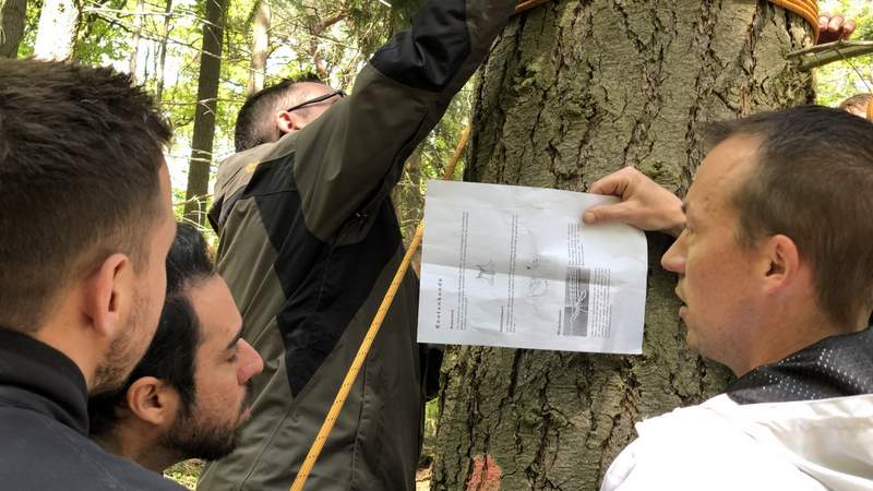 Felsenmeer Expedition im Odenwald