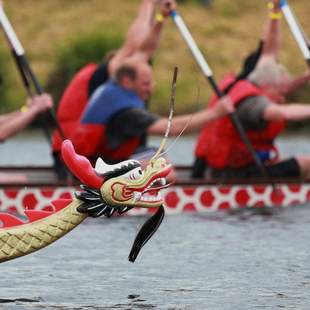 Drachenboot Teamevent