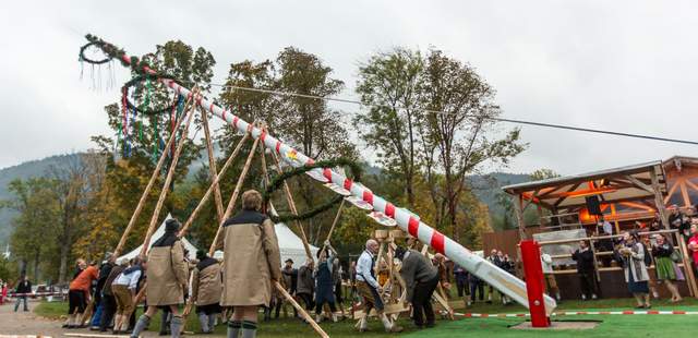 Aufstellung des Erfolgsbaumes