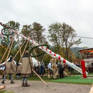 Aufstellung des Erfolgsbaumes Aufstellung des Erfolgsbaumes