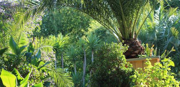 Mediterraner Hotelgarten mit vielen exotischen Pflanzen im Landhotel Am Rothenberg