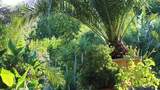 Mediterraner Hotelgarten mit vielen exotischen Pflanzen im Landhotel Am Rothenberg