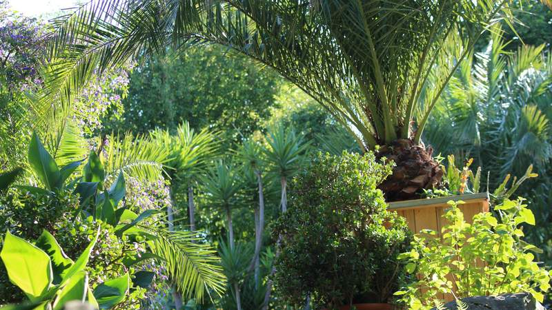 Mediterraner Hotelgarten im Landhotel Am Rothenberg