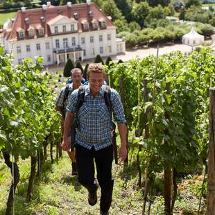 Kulinarische Weinwanderung in Radebeul