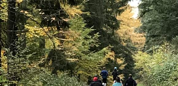 Feel Good – Yoga & Natur als Firmen-Event
